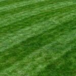 a baseball player standing on top of a lush green field